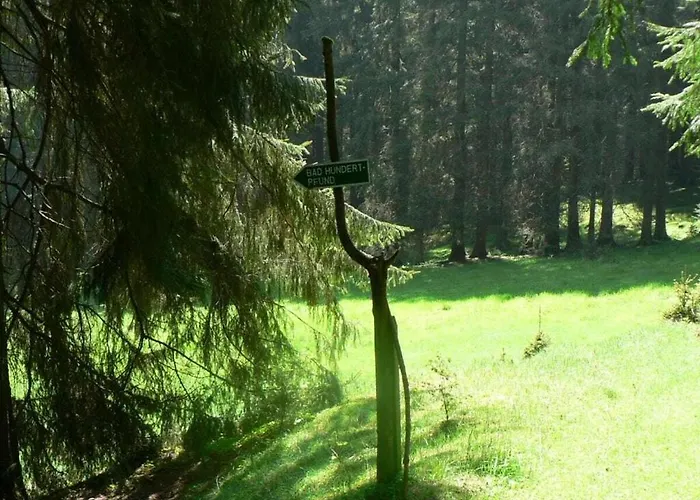 Village Bad Hundertpfund Tatil Evi Grossbreitenbach